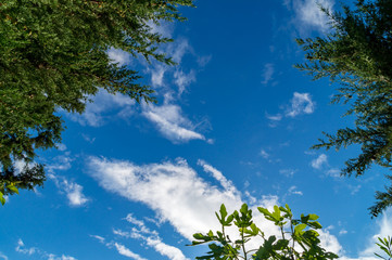 Il cielo sopra noi in primavera