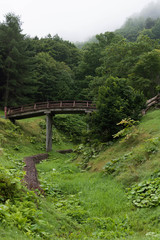 Fototapeta na wymiar 山奥の木の橋