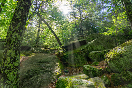 A hiking trail at Purgatory Chasm State Reservation in Sutton Massachusetts