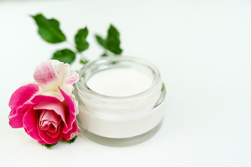 Face and body cream with pink rose isolated on white background with copy space