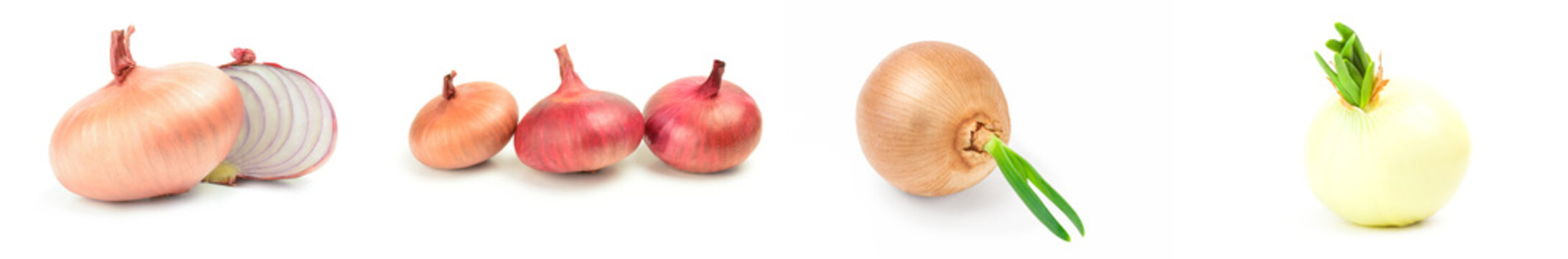 Group of Fresh onion bulbs isolated on a white background with clipping path
