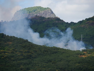 Fire at the mountain forest