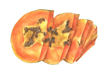Sliced of ripe papaya with seeds isolated on white background. Hand painted watercolor illustration.