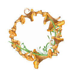 Forest mushrooms. Chanterelle. 