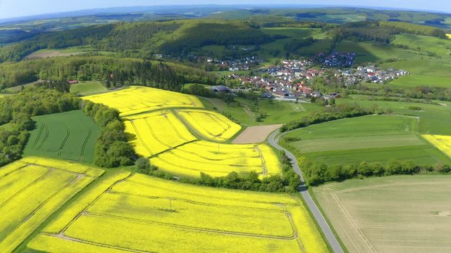Aerial view, flight over agriculture with cereal fields and rapeseed cultivation, Laubach, Gem&uuml;nden, Hochtaunuskreis, Hesse, Germany