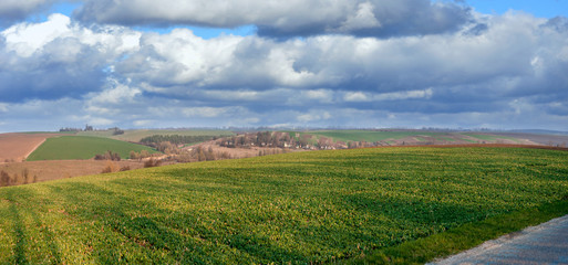 Naklejka premium panoramic view of lines of young green shoots on field