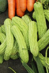 Bitter melon gourd for cooking in market