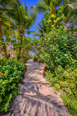 Tropical gardens in Pattaya, Thailand 