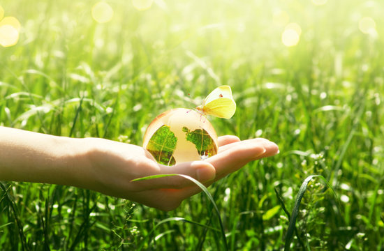 Earth glass globe and butterfly with yellow wings in human hand on green grass background. Saving environment concept.