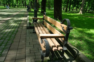 Wooden bench in the alley of the city park on spring day, landscape