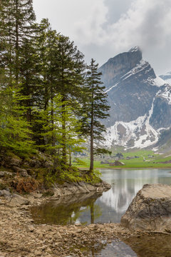 lake Seealpsee, Altmann  mountain, forest