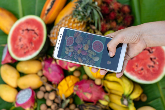 Woman hand take phone photography of tropical fruits. Sweet mango, papaya, pitahaya, banana, watermelon, pineapple. Raw vegan vegetarian healthy food