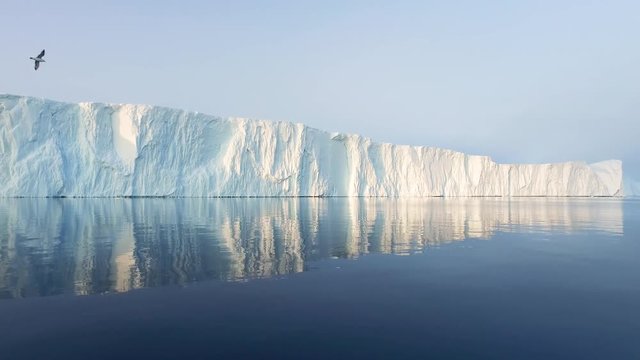 Arctic Iceberg in Arctic Ocean in Greenland