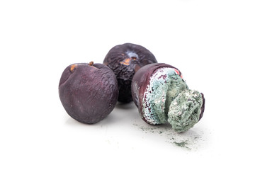 Closeup on rotten and moldy red plum fruits