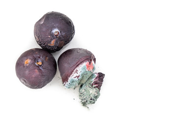 Closeup on rotten and moldy red plum fruits