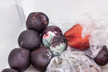 Rotten and moldy fruits and vegetable found in refrigerator drawer