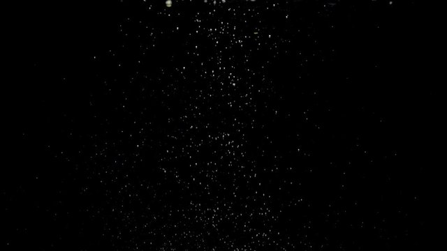 Air bubbles floating under transparent water on black background. Water bubbles in aquarium.  Slow Motion. Close-up.