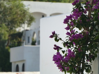 Mojacar, beautiful white town of Almeria. Andalucia,Spain