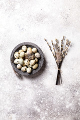 Easter holiday concept.Quail eggs in a plate on a gray background. Holiday decoration branches willow with pears.Copy space for Text.