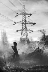 Striking electricity pylon in the morning mist.