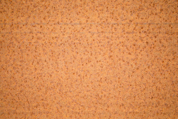 Fototapeta premium Iron rusty background. Space for design.Texture empty surface.