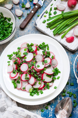 Salad with radish, green onions and pink salt