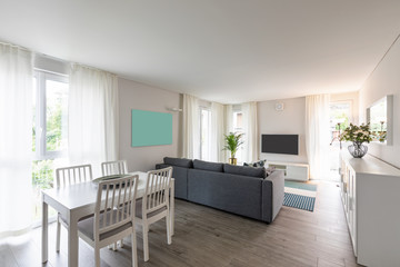 Living room with gray sofa. Modern room and white walls