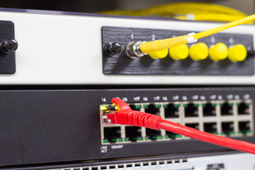 The network cables to connect Lan port