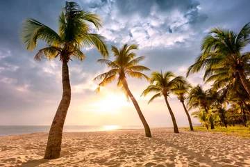 Rolgordijnen Coconut palm trees against colorful sunset © Li Ding