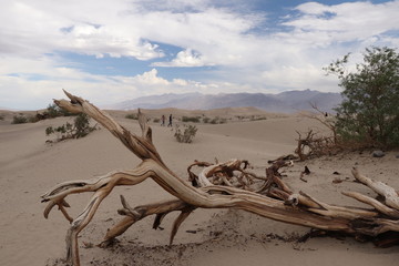 Les dunes de sable dans la vallée de la mort , Californie © jerome33980