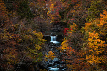 岐阜県 付知峡 紅葉