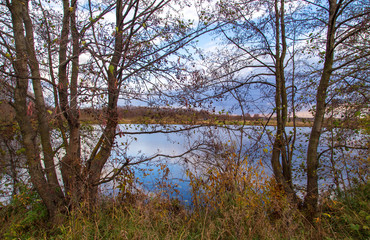 Fototapeta premium Pond in nature in autumn