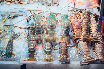 Fresh lobster in the street food shop in Phuket