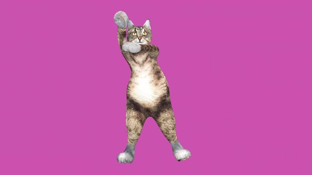A cute brown pussycat dancing alone in a modern style in empty colour space. Comic tomcat waving paws and tail in an energetic summer mood. Cool and the best moves in the stylish of the 80s and 90s