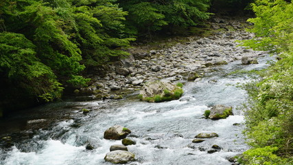 渓流