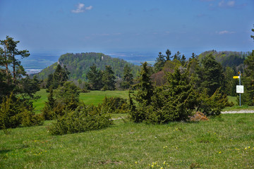 Wacholderheide auf der Schwäbischen Alb bei Burgfelden, Schalksburg und Böllat