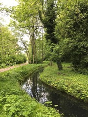 Fototapeta na wymiar Le ruisseau Watermaelbeek sous la végétation luxuriante du printemps au parc de la Héronnière à Watermael-Boitsfort