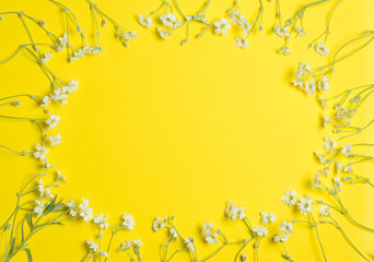 flowers on a yellow background