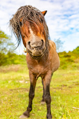 Fototapeta premium How curious