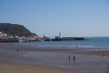 Scarborough Views