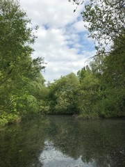 L'étang sauvage du parc de la Héronnière à Watermael-Boitsfort 