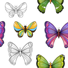 Seamless pattern with large tropical multi-colored butterfly. Hand drawing.  Illustration.