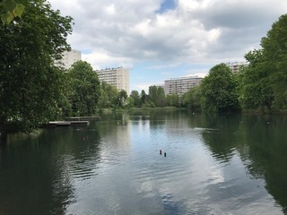 L'&eacute;tang des p&ecirc;cheries entour&eacute; de nature luxuriante au milieu d'une zone r&eacute;sidentielle au parc de la H&eacute;ronni&egrave;re &agrave; Watermael-Boitsfort 