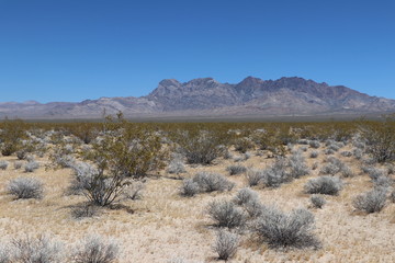 désert des Mojaves, de Mojave