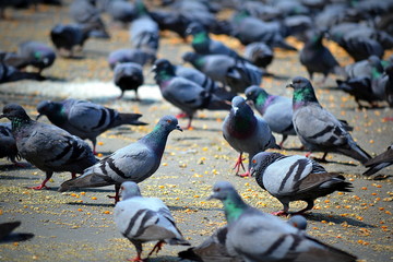 Obraz premium Photography Cityscapes Roads Highway 