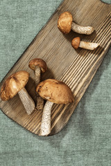 Various forest edible Mushrooms on wooden background. Fresh raw fungus on table. Scaber stalk (birch bolete) on table. Healthy diet vegetarian food. Top view. Copy space.