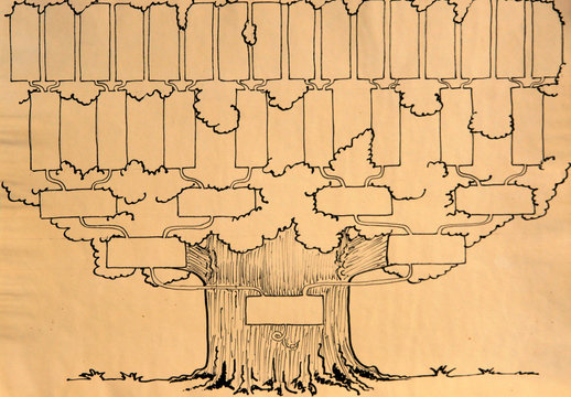 39 Best Arbre Genealogique Images Stock Photos Vectors Adobe Stock