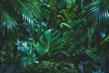 Wandcirkels tuinposter Tropische palmbladeren © Li Ding