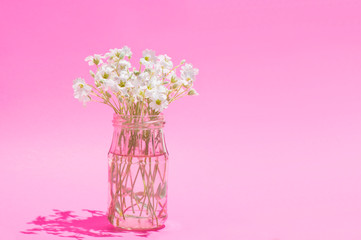 Obraz premium flowers on a pink background