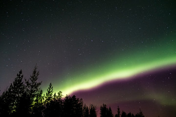 Fototapeta na wymiar Aurora borealis in northern night sky